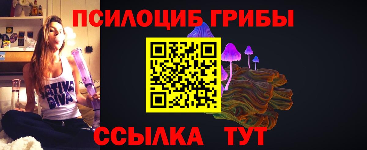 Псилоцибиновые грибы Psilocybe  Вход с VPN  Верхняя Салда  Псилоцибиновые грибы GOLDEN TEACHER 